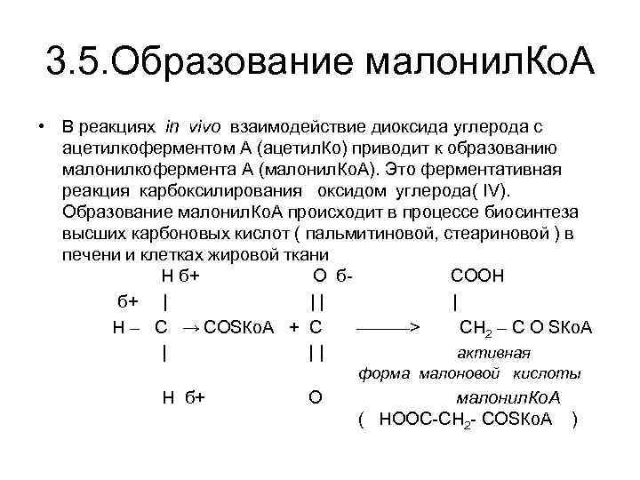 3. 5. Образование малонил. Ко. А • В реакциях in vivo взаимодействие диоксида углерода