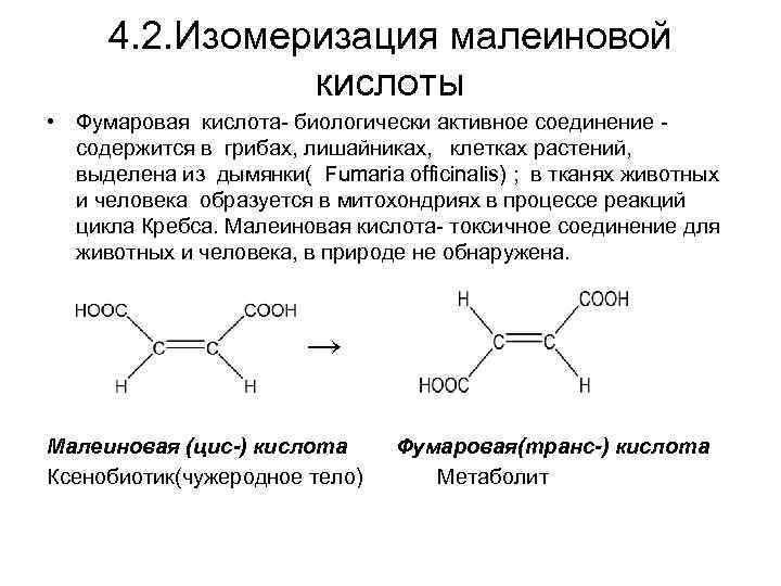 Кольцевая кислота. Изомеризация малеиновой кислоты. Малеиновая кислота биороль. Фумаровая кислота формула в организме. Фумаровая кислота биороль.