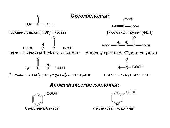Оксокислоты: пировиноградная (ПВК), пируват фосфоенолпируват (ФЕП) щавелевоуксусная (ЩУК), оксалоацетат α-кетоглутаровая (α -КГ), α-кетоглутарат β-оксомасляная