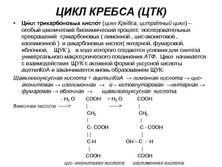 Особенности введения белковых гидролизатов тест с ответами