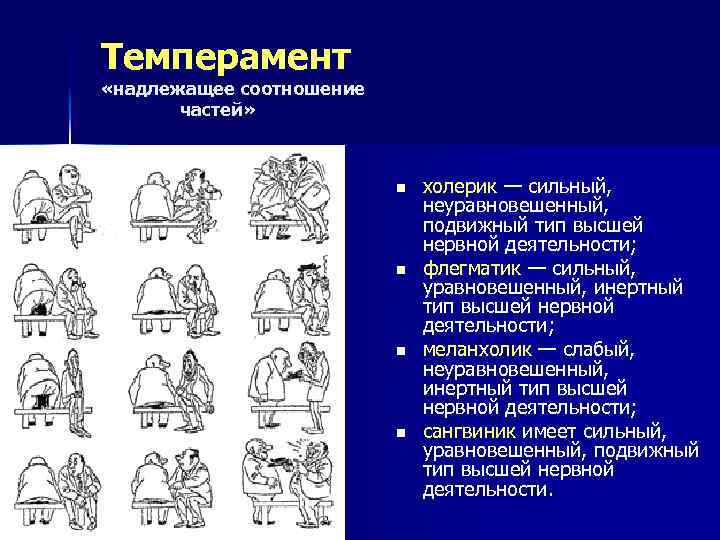 Темперамент «надлежащее соотношение частей» n n холерик — сильный, неуравновешенный, подвижный тип высшей нервной