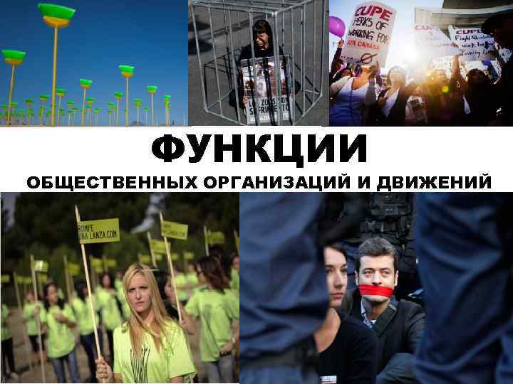 ФУНКЦИИ ОБЩЕСТВЕННЫХ ОРГАНИЗАЦИЙ И ДВИЖЕНИЙ 