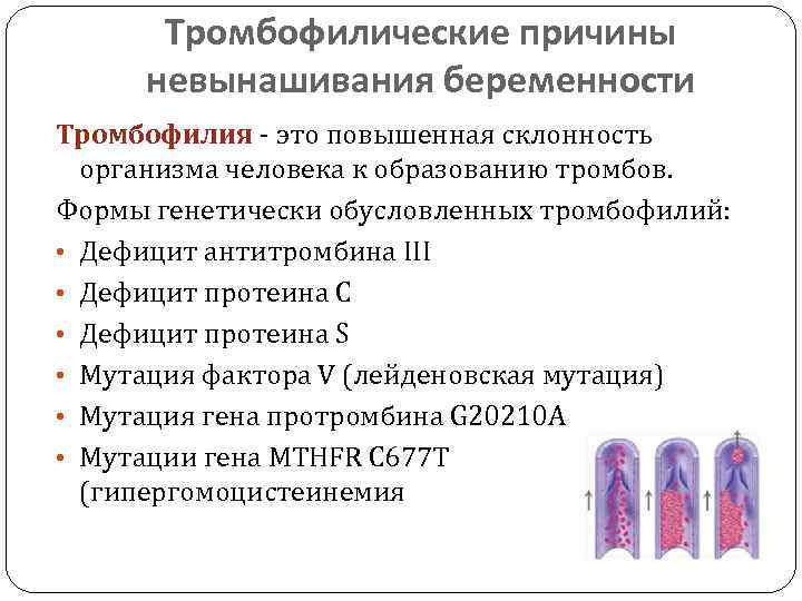 Генетический тромбоз. Причины развития тромбофилии. Генетический риск тромбофилии. Причины невынашивания беременности. Анализ на склонность к тромбозам.