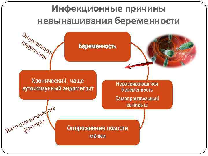 Инфекционные причины невынашивания беременности Эн до на кр ру ин ше ны ни е