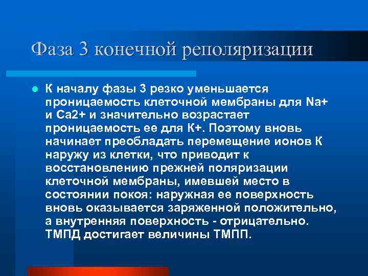 Фаза 3 конечной реполяризации l К началу фазы 3 резко уменьшается проницаемость клеточной мембраны