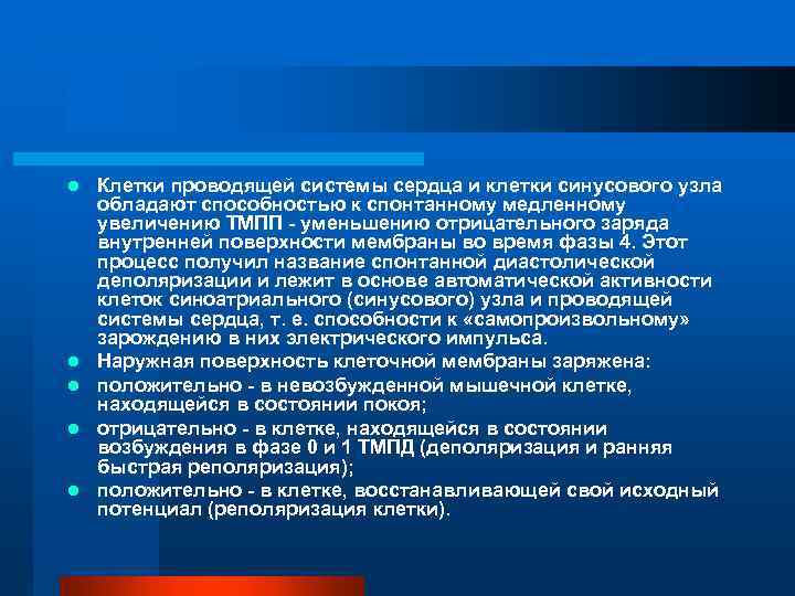 l l l Клетки проводящей системы сердца и клетки синусового узла обладают способностью к