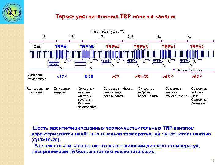 Термочувствительные TRP ионные каналы 0 10 Температура, °C 20 30 40 50 Out TRPA