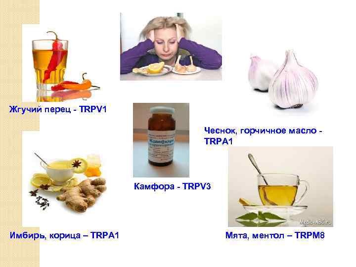 Жгучий перец - TRPV 1 Чеснок, горчичное масло - TRPA 1 Камфора - TRPV