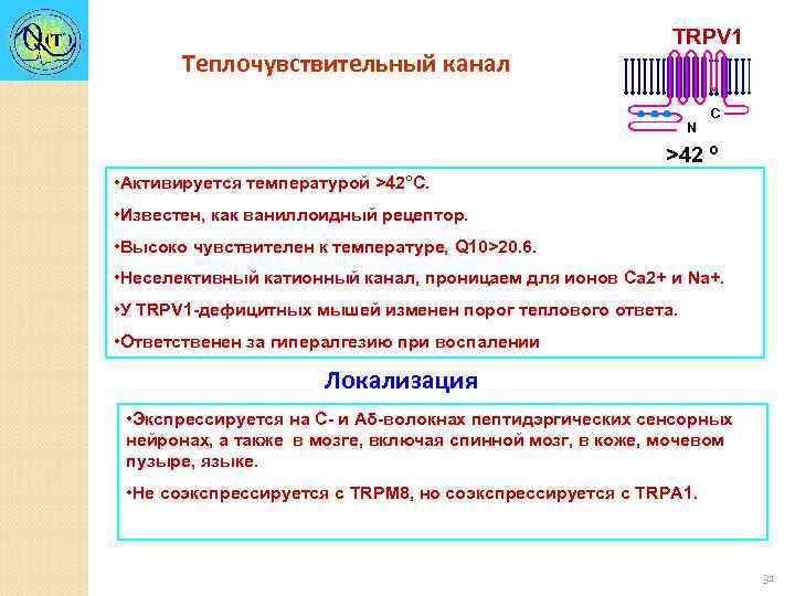 Теплочувствительный канал TRPV 1 N C >42 º • Активируется температурой >42°С. • Известен,