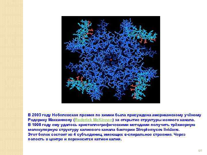 В 2003 году Нобелевская премия по химии была присуждена американскому учёному Родерику Маккиннону (Roderick