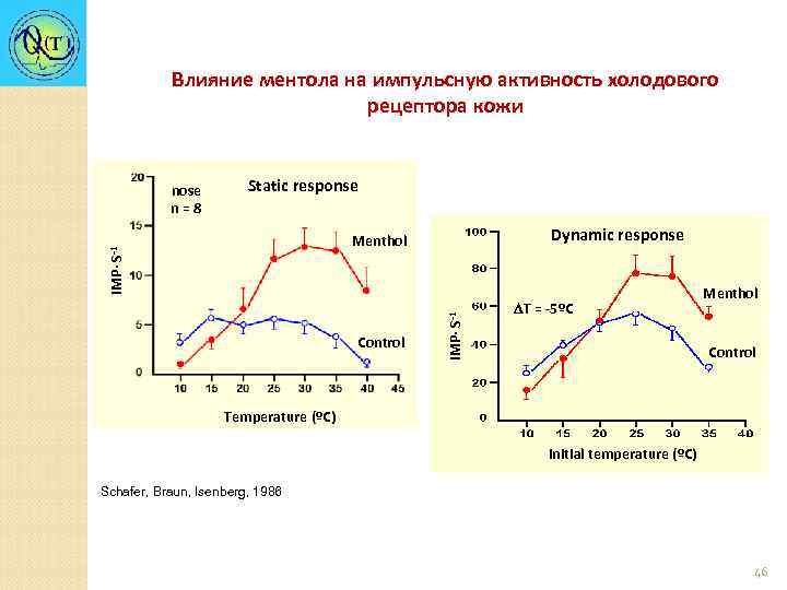 Влияние ментола на импульсную активность холодового рецептора кожи Static response Dynamic response Control IMP·