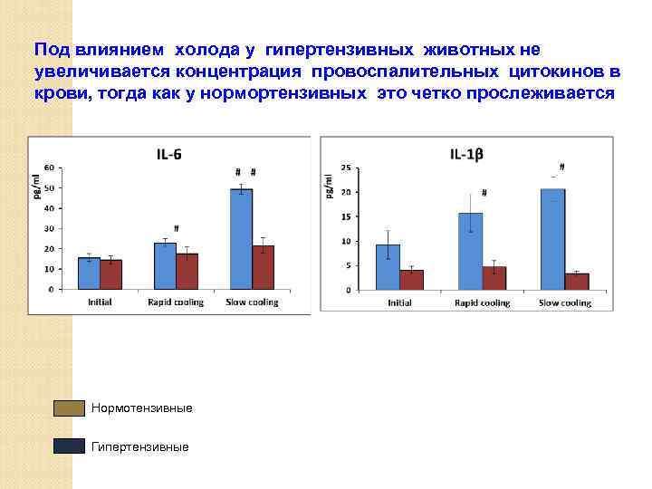 Под влиянием холода у гипертензивных животных не увеличивается концентрация провоспалительных цитокинов в крови, тогда