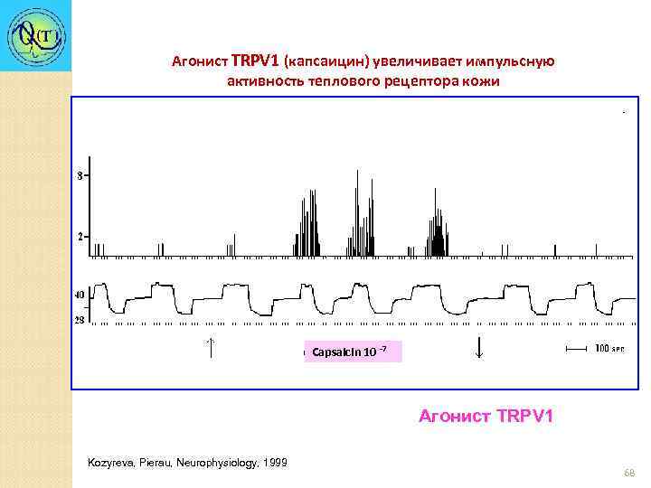 Агонист TRPV 1 (капсаицин) увеличивает импульсную активность теплового рецептора кожи Capsaicin 10 -7 Агонист