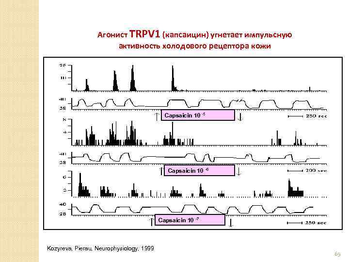 Агонист TRPV 1 (капсаицин) угнетает импульсную активность холодового рецептора кожи Capsaicin 10 -5 Capsaicin