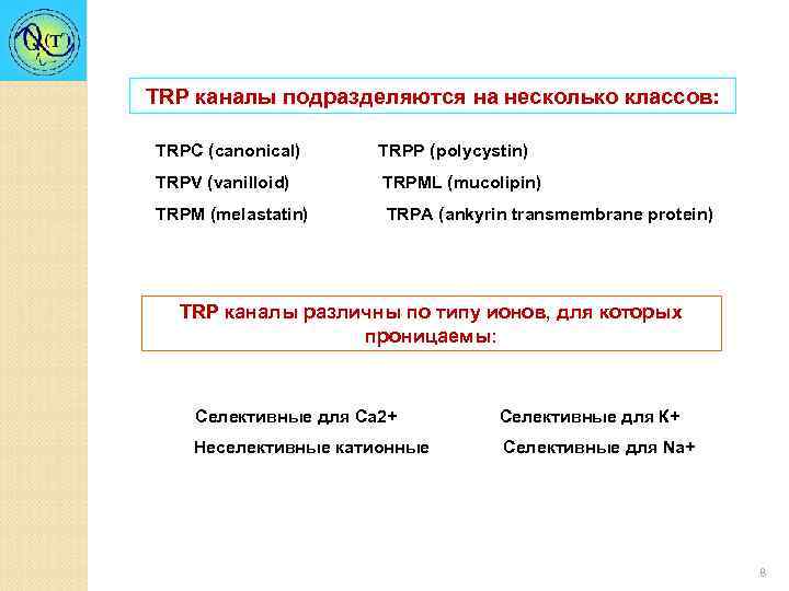 TRP каналы подразделяются на несколько классов: TRPС (canonical) TRPP (polycystin) TRPV (vanilloid) TRPML (mucolipin)