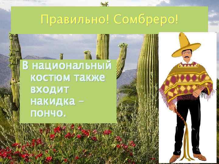 Правильно! Сомбреро! В национальный костюм также входит накидка – пончо. 