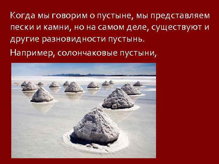 Когда мы говорим о пустыне, мы представляем пески и камни, но на самом деле,