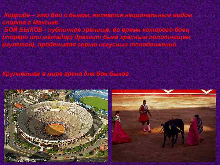  Коррида – это бой с быком, является национальным видом спорта в Мексике. БОЙ