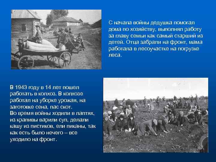С начала войны дедушка помогал дома по хозяйству, выполнял работу за главу семьи как