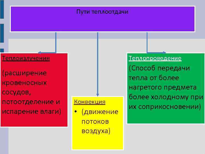 Пути теплоотдачи Теплоизлучения (расширение кровеносных сосудов, потоотделение и испарение влаги) Теплопроведение Конвекция • (движение