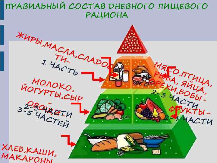 ПРАВИЛЬНЫЙ СОСТАВ ДНЕВНОГО ПИЩЕВОГО РАЦИОНА ЖИ РЫ , МА СЛ А ТИ , СЛА
