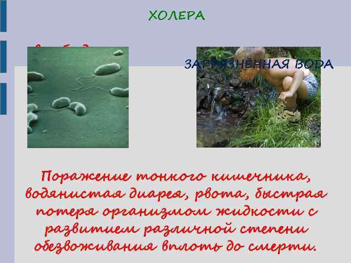 ХОЛЕРА возбудит ХОЛЕРНЫЕ ВИБРИОНЫ ели ПРИЧИН ЗАГРЯЗНЁННАЯ ВОДА Ы Поражение тонкого кишечника, водянистая диарея,