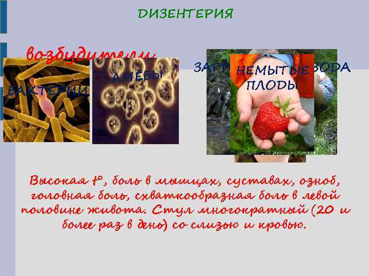 ДИЗЕНТЕРИЯ возбудители БАКТЕРИИ АМЁБЫ ПРИЧИН ЗАГРЯЗНЁННАЯ ВОДА НЕМЫТЫЕ ГРЯЗНЫЕ РУКИ Ы ПЛОДЫ Высокая t°,