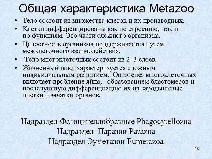 Общая характеристика Metazoo • Тело состоит из множества клеток и их производных. • Клетки
