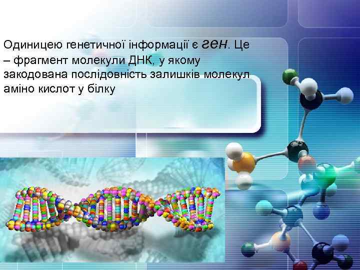 Одиницею генетичної інформації є ген. Це – фрагмент молекули ДНК, у якому закодована послідовність