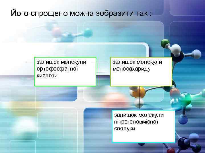 Його спрощено можна зобразити так : залишок молекули ортофосфатної кислоти залишок молекули моносахариду залишок