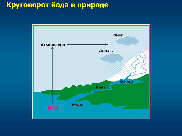 Круговорот йода в природе 