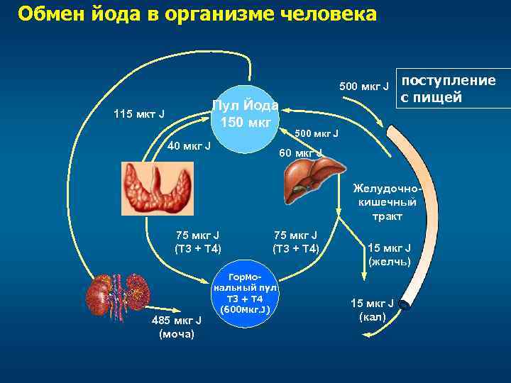 Схема производства йода