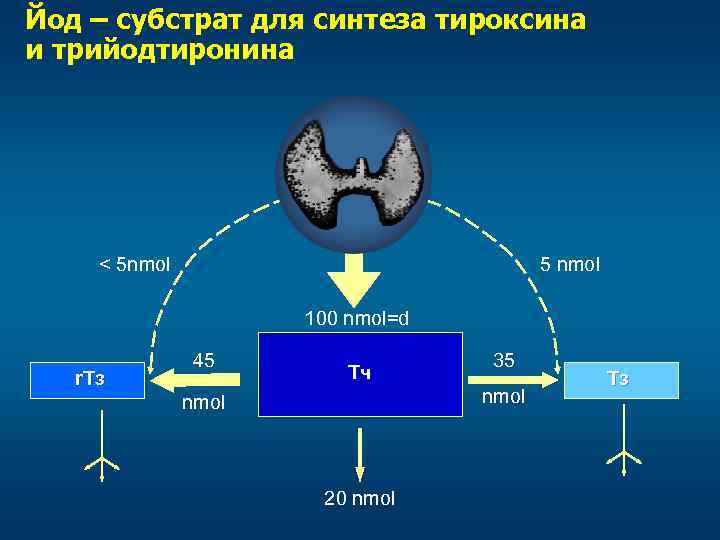 Проблема йодного дефицита проект