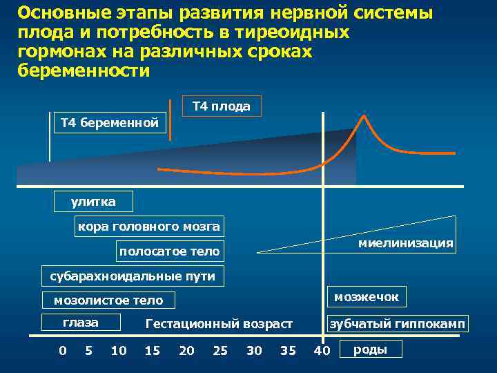 Проблема йодного дефицита проект