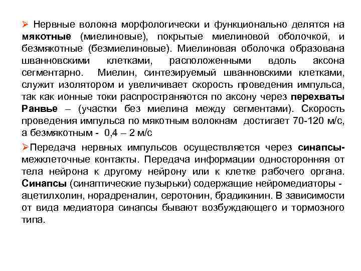 Ø Нервные волокна морфологически и функционально делятся на мякотные (миелиновые), покрытые миелиновой оболочкой, и