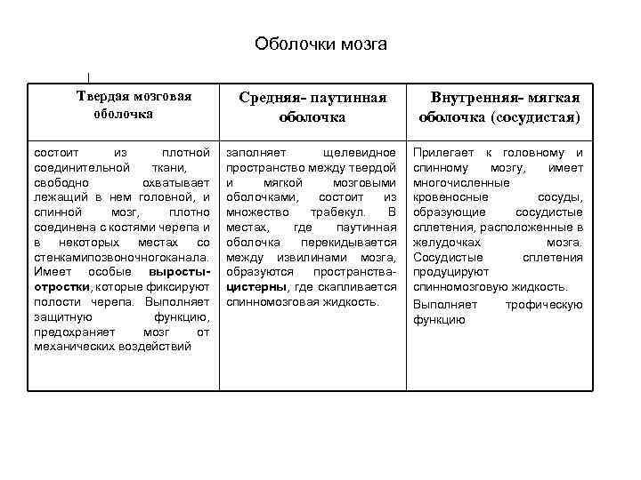 Оболочки мозга Твердая мозговая оболочка состоит из плотной соединительной ткани, свободно охватывает лежащий в