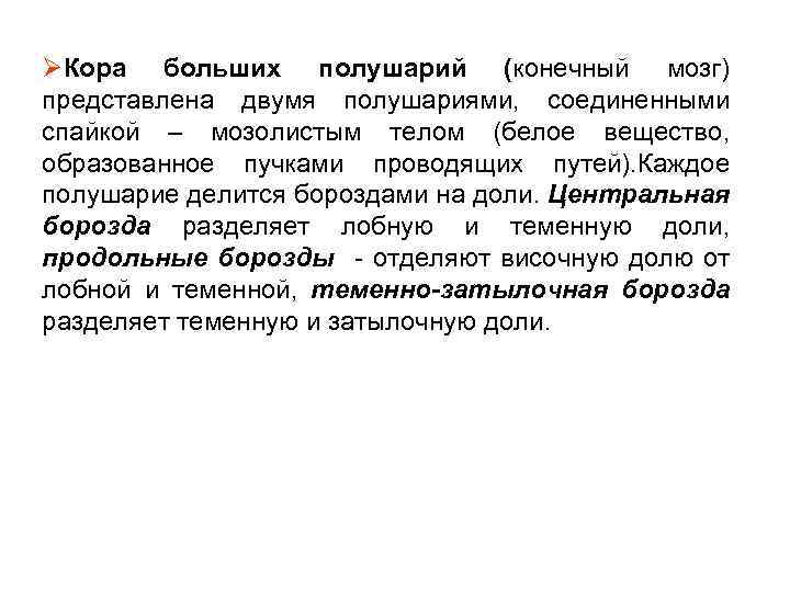 ØКора больших полушарий (конечный мозг) представлена двумя полушариями, соединенными спайкой – мозолистым телом (белое