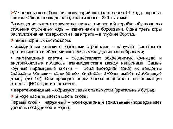 ØУ человека кора больших полушарий включает около 14 млрд. нервных клеток. Общая площадь поверхности