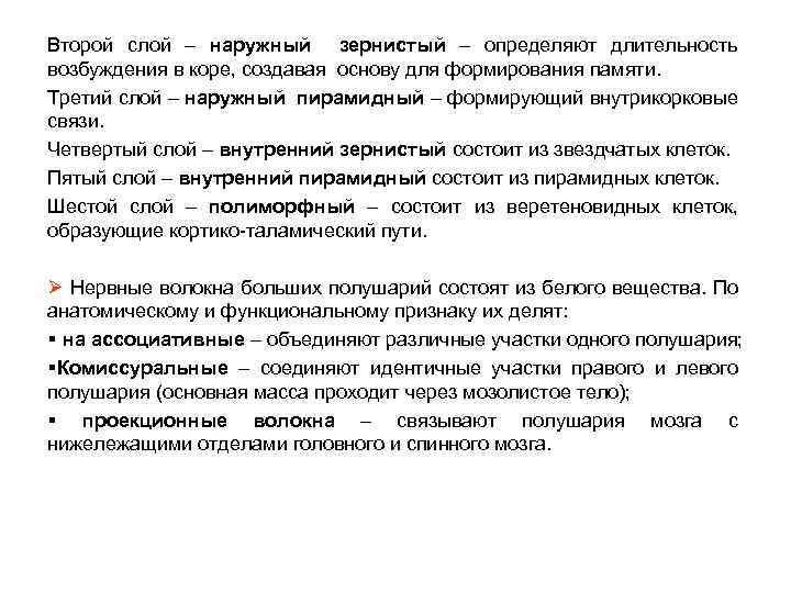 Второй слой – наружный зернистый – определяют длительность возбуждения в коре, создавая основу для