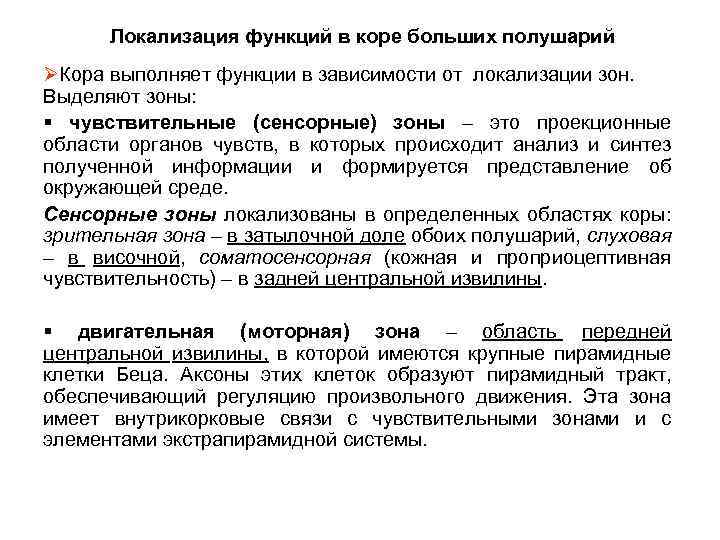 Локализация функций в коре больших полушарий ØКора выполняет функции в зависимости от локализации зон.