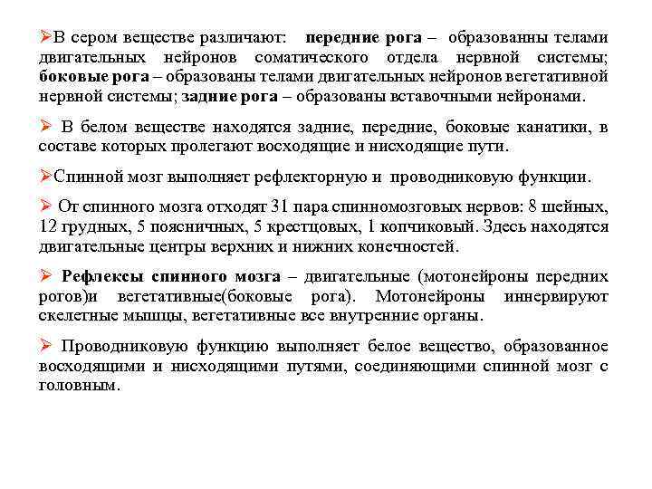 ØВ сером веществе различают: передние рога – образованны телами двигательных нейронов соматического отдела нервной
