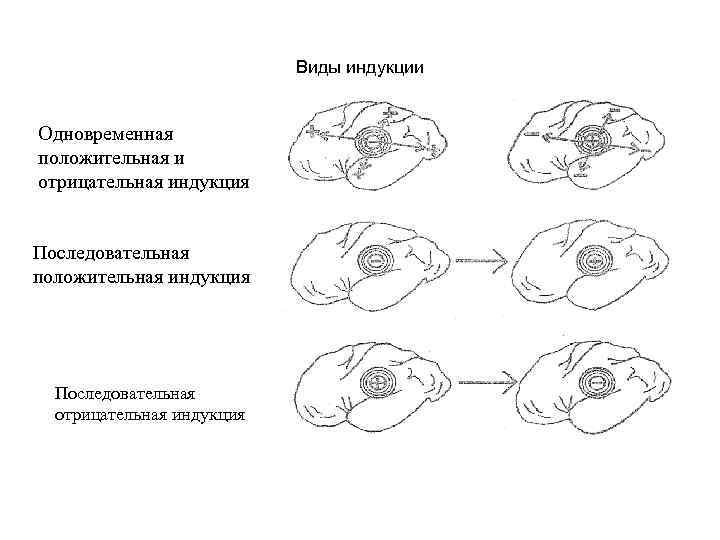 Виды индукции Одновременная положительная и отрицательная индукция Последовательная положительная индукция Последовательная отрицательная индукция 