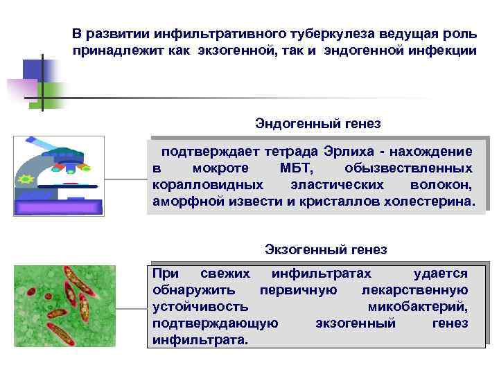 Тетрада эрлиха