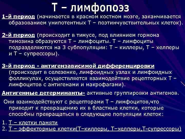 Этап т. Лимфопоэз т лимфоцитов происходит в. Т клеточный лимфопоэз происходит в. Этапы лимфопоэза т-клеток. Гемопоэз т лимфоцитов.