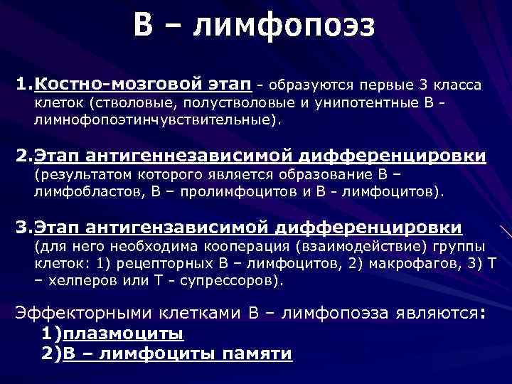 Какие изменения проходят. Лимфопоэз. Этапы лимфопоэза. Лимфопоэз иммунология. Лимфопоэз в-лимфоцитов происходит.