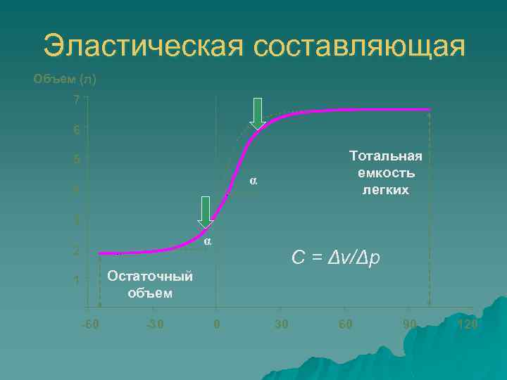 Эластическая составляющая Объем (л) 7 6 Тотальная емкость легких 5 α 4 3 α