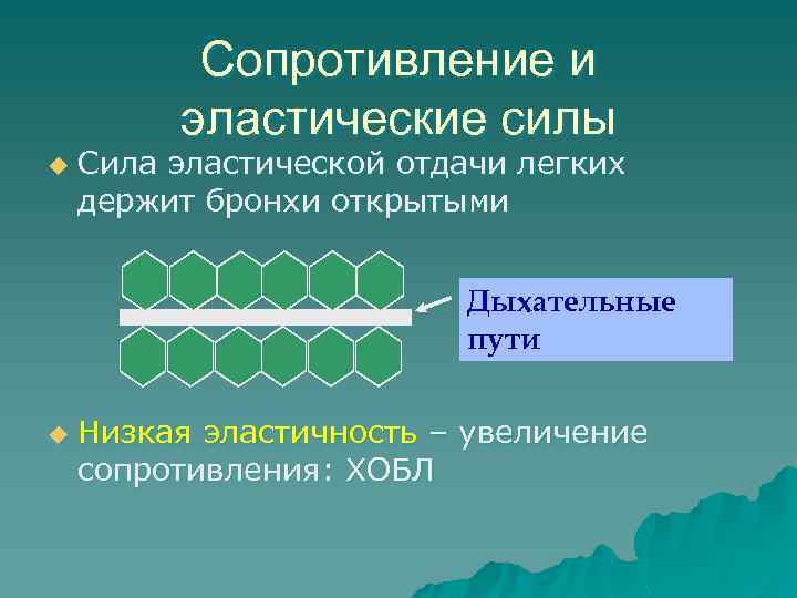 Сопротивление и эластические силы u Сила эластической отдачи легких держит бронхи открытыми Дыхательные пути