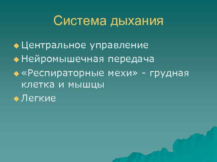 Система дыхания u Центральное управление u Нейромышечная передача u «Респираторные мехи» - грудная клетка