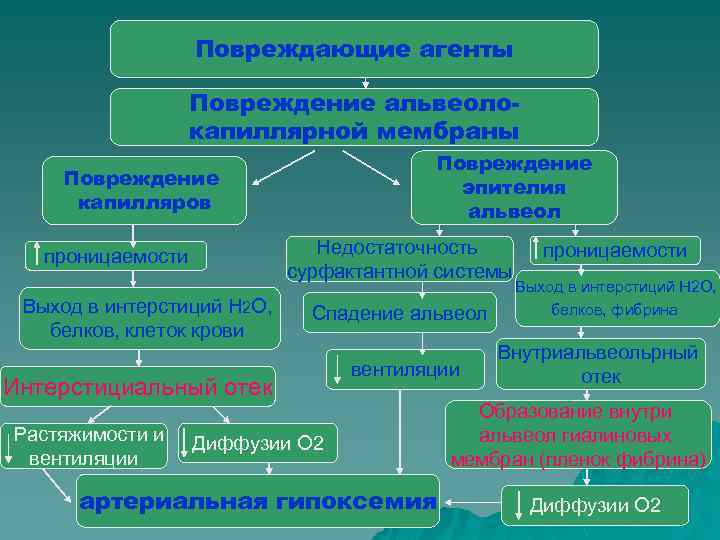 Повреждающие агенты Повреждение альвеолокапиллярной мембраны Повреждение эпителия альвеол Повреждение капилляров Недостаточность сурфактантной системы проницаемости