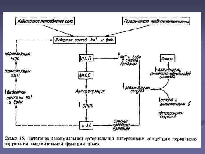 Схема гипертоническая болезнь